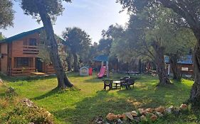 Olive & Sea, Luxury Two Bedrooms Cabin For 8